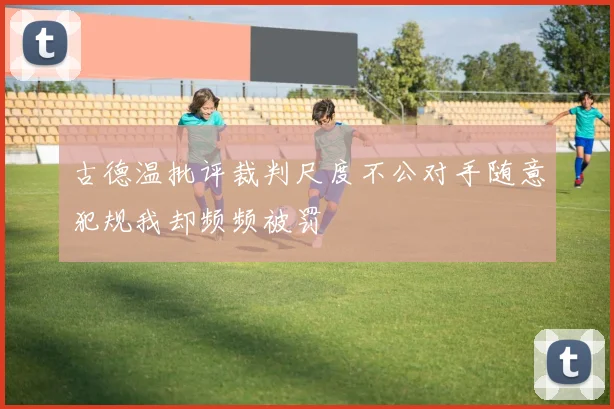 古德温批评裁判尺度不公对手随意犯规我却频频被罚