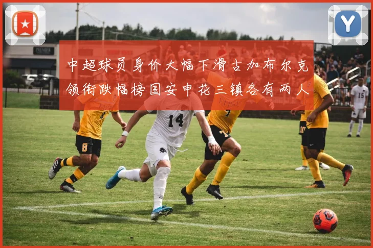 中超球员身价大幅下滑古加布尔克领衔跌幅榜国安申花三镇各有两人上榜